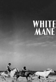 دانلود فیلم White Mane 1953