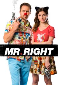 دانلود فیلم Mr. Right 2015