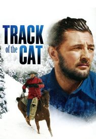 دانلود فیلم Track of the Cat 1954