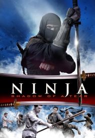 دانلود فیلم Ninja: Shadow of a Tear 2013