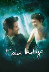 دانلود فیلم Mood Indigo 2013