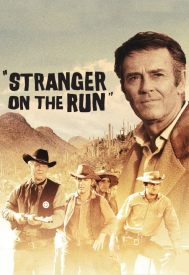 دانلود فیلم Stranger on the Run 1967