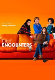 دانلود سریال Brief Encounters 2016