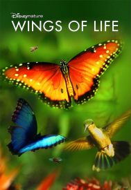 دانلود فیلم Disneynature: Wings of Life 2011