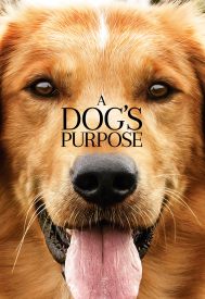 دانلود فیلم A Dog’s Purpose 2017