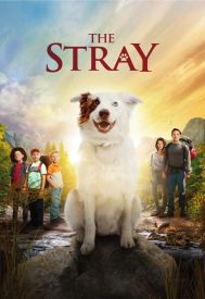 دانلود فیلم The Stray 2017