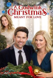 دانلود فیلم A Godwink Christmas: Meant for Love 2019