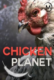 دانلود فیلم Chicken Planet 2016