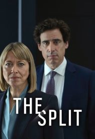 دانلود سریال The Split 2018