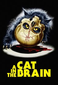 دانلود فیلم A Cat in the Brain 1990