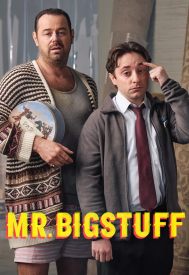 دانلود سریال Mr Bigstuff 2024