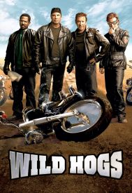 دانلود فیلم Wild Hogs 2007