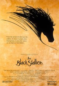 دانلود فیلم The Black Stallion 1979