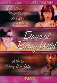 دانلود فیلم Days of Being Wild 1990