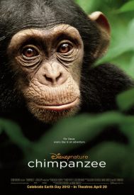 دانلود فیلم Chimpanzee 2012