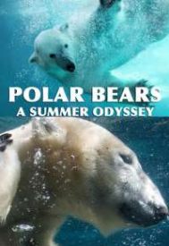 دانلود فیلم Polar Bears: A Summer Odyssey 2012