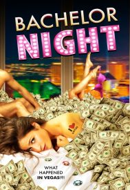 دانلود فیلم Bachelor Night 2014