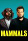 Mammals Poster