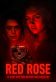 Red Rose Poster