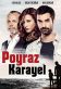 Poyraz Karayel Poster